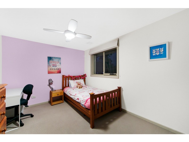 8 Hawdon Street, Ainslie ACT 2602