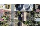 10 Somerset Street, Duffy ACT 2611