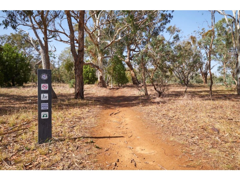 10/27 Whitmore Crescent, Watson ACT 2602