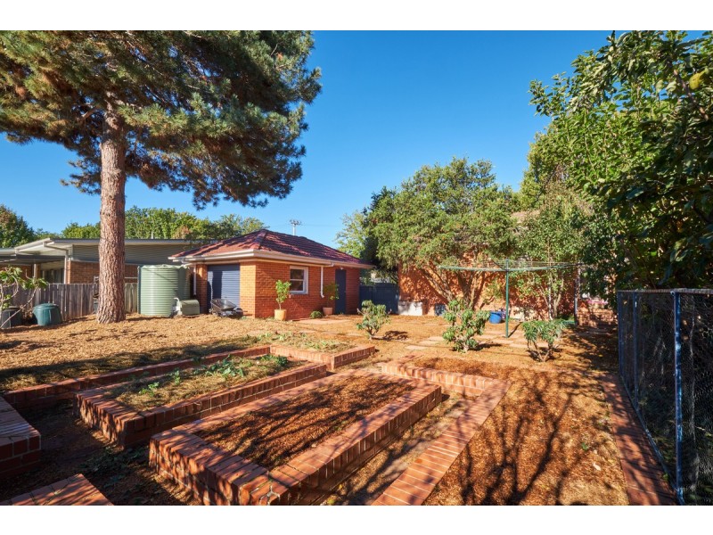 33 Officer Crescent, Ainslie ACT 2602