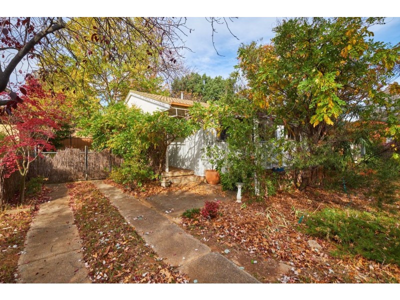 50 Williams Street, Watson ACT 2602