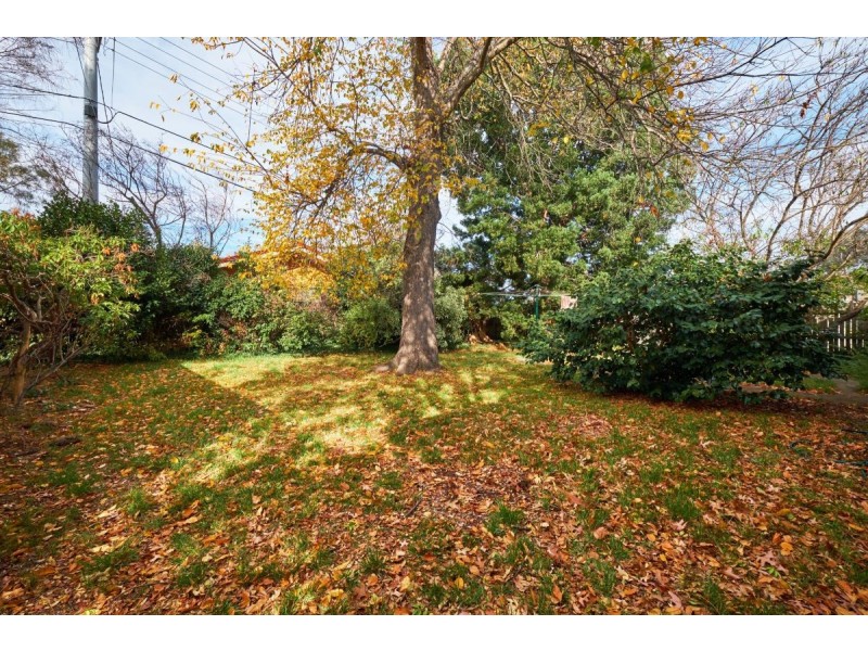 50 Williams Street, Watson ACT 2602