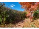 7A Elder Street, Braddon ACT 2612