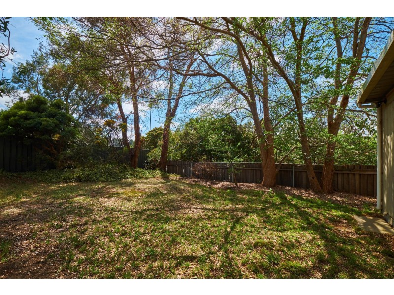 11 Piguenit Close, Lyneham ACT 2602