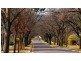 66 Longstaff Street, Lyneham ACT 2602