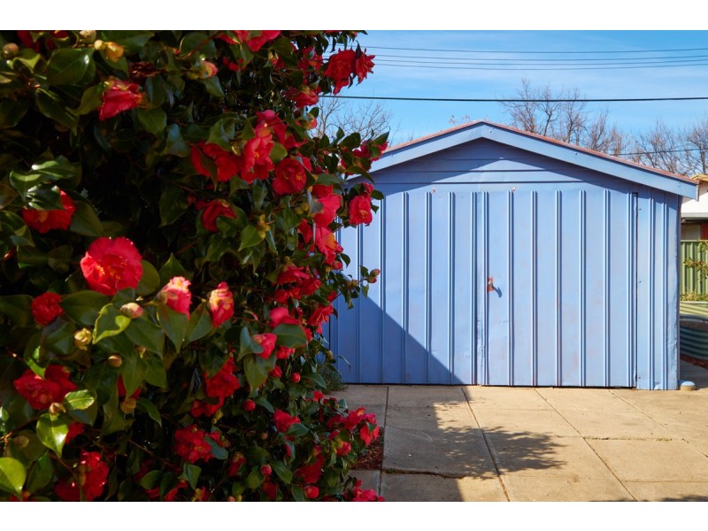 8 Andrews Street, Watson ACT 2602