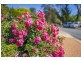 20 Dorrit Black Crescent, Lyneham ACT 2602