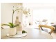 20 Dorrit Black Crescent, Lyneham ACT 2602