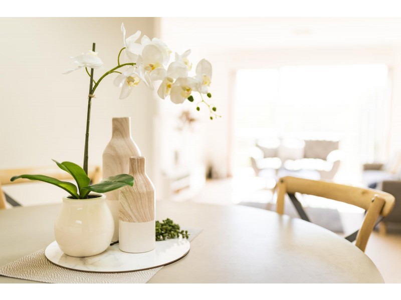 20 Dorrit Black Crescent, Lyneham ACT 2602