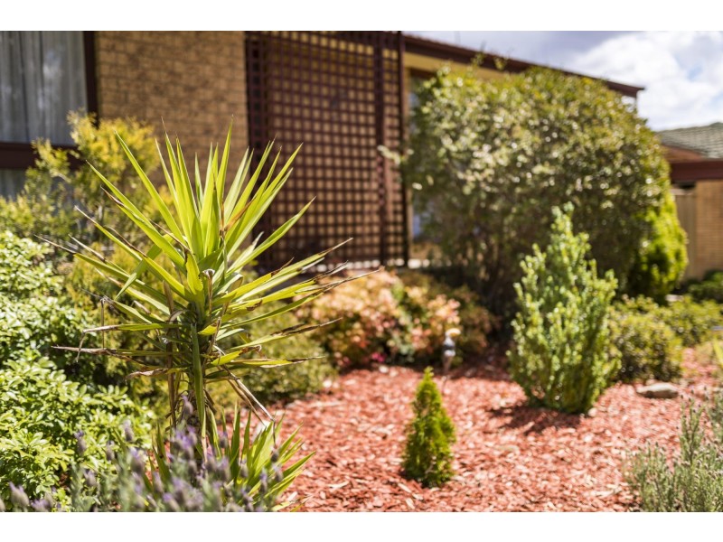 10 Chuculba Crescent, Giralang ACT 2617