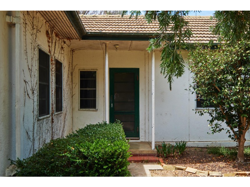 53 David Street, O’connor ACT 2602