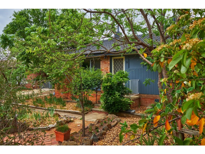 51 Burn Street, Downer ACT 2602
