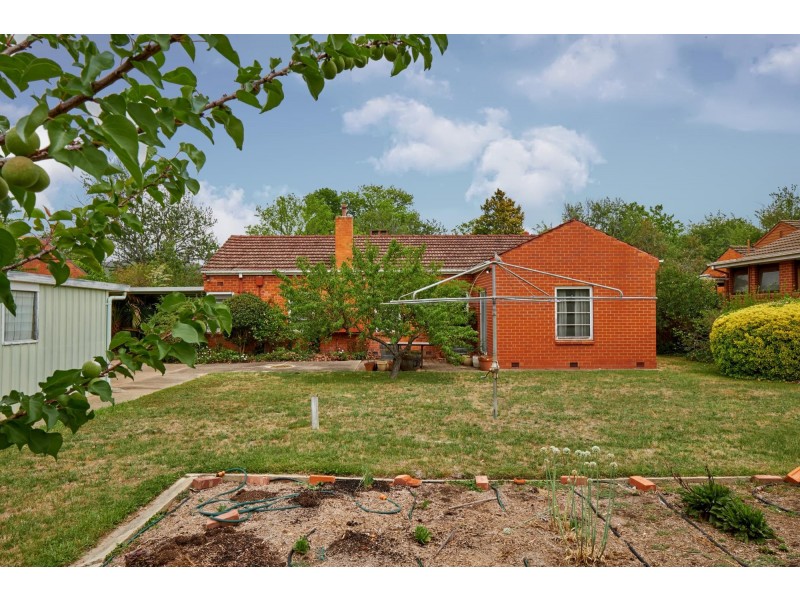 48 MacLeay Street, Turner ACT 2612