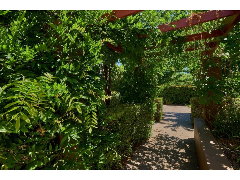 11/17 Majura Avenue, Dickson ACT 2602