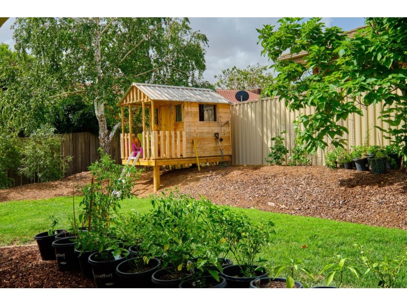 28 Arthaldo Court, Nicholls ACT 2913
