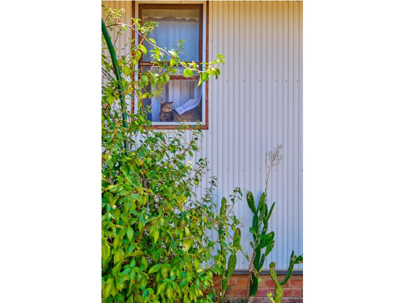 9 Officer Crescent, Ainslie ACT 2602