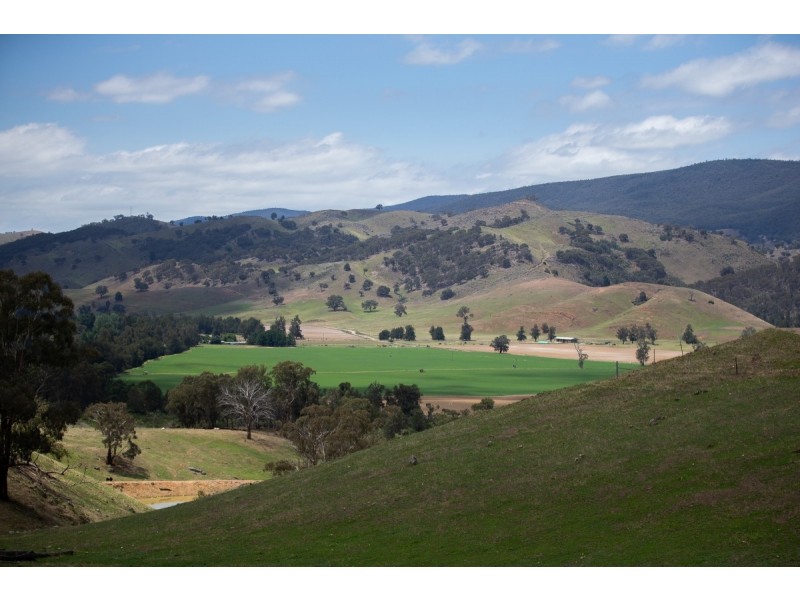 4 Williams Place, Wee Jasper NSW 2582