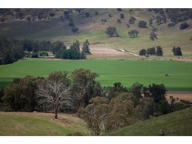 4 Williams Place, Wee Jasper NSW 2582