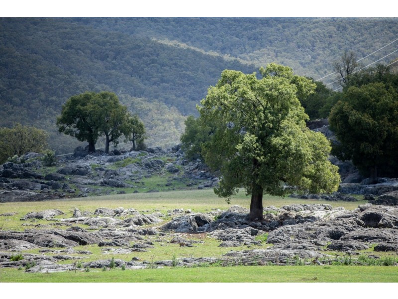 4 Williams Place, Wee Jasper NSW 2582