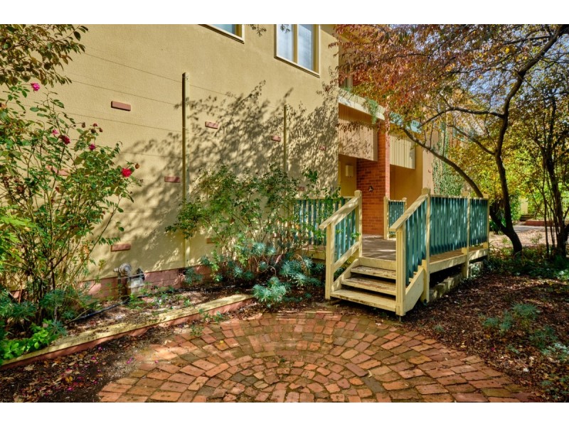 31 De Burgh Street, Lyneham ACT 2602