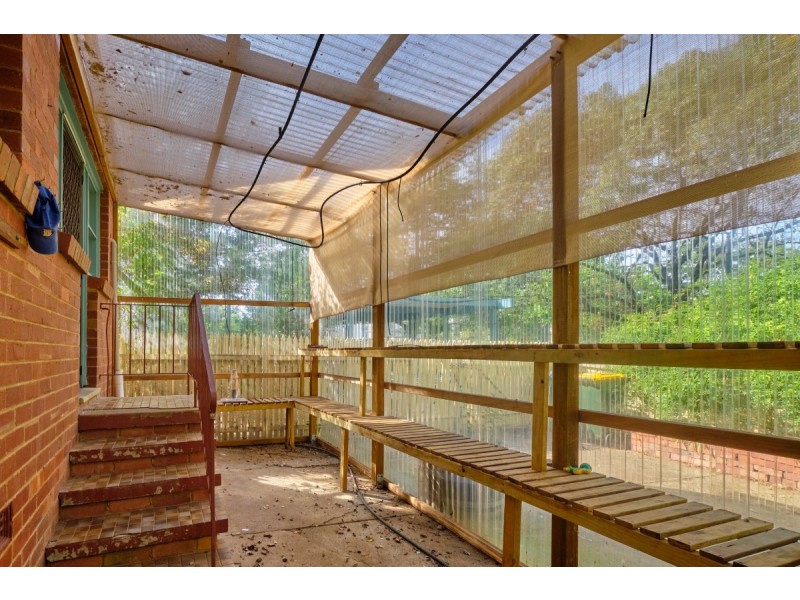 31 De Burgh Street, Lyneham ACT 2602