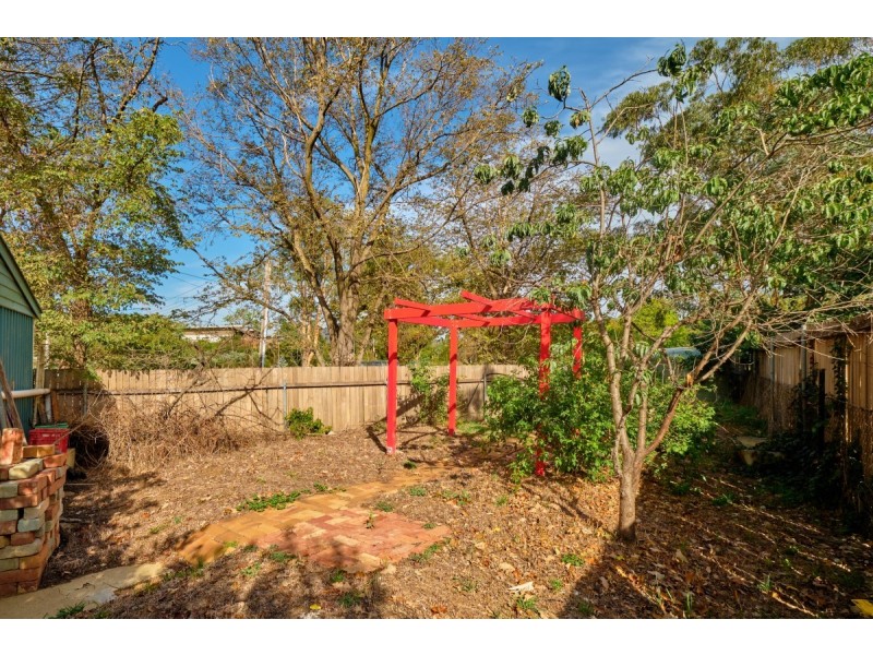 31 De Burgh Street, Lyneham ACT 2602