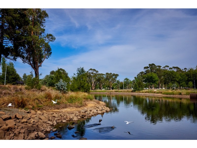 31 De Burgh Street, Lyneham ACT 2602