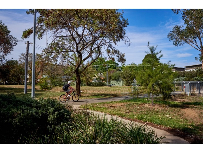 31 De Burgh Street, Lyneham ACT 2602