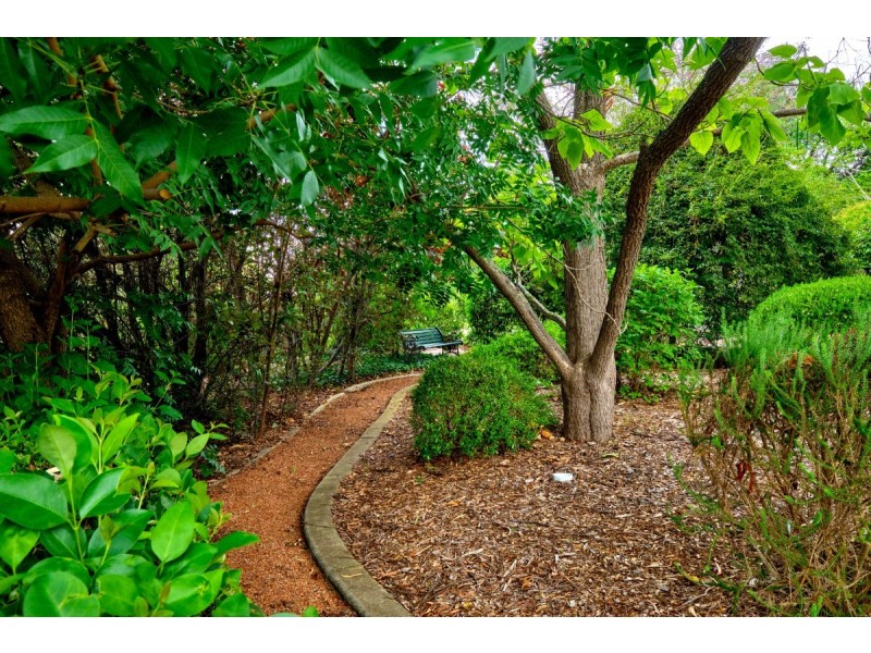 32 Collings Street, Pearce ACT 2607