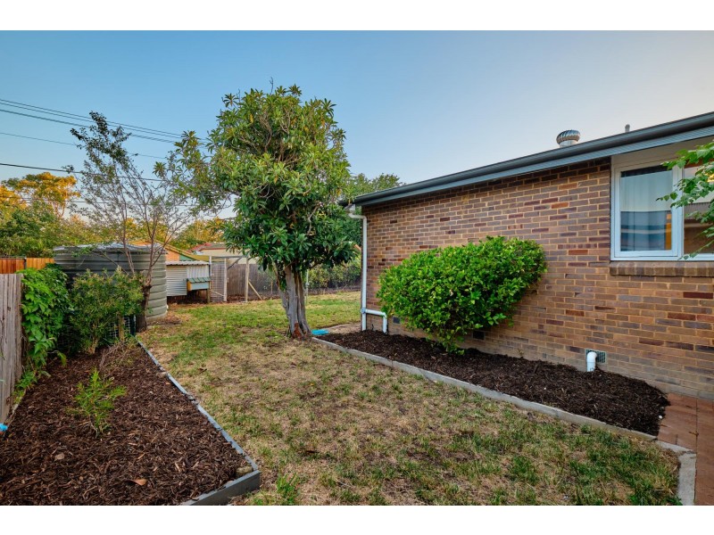 11 Cassinia Street, O’connor ACT 2602