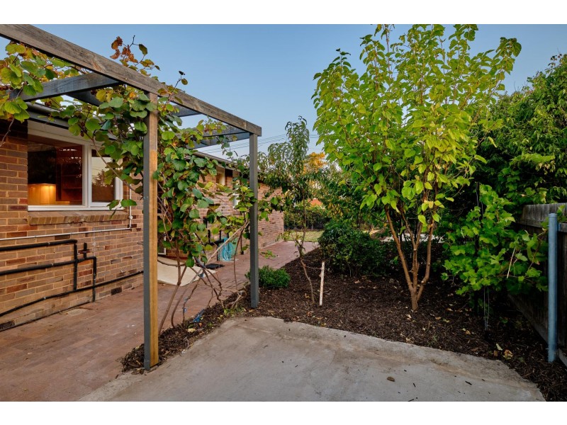 11 Cassinia Street, O’connor ACT 2602