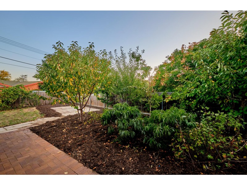 11 Cassinia Street, O’connor ACT 2602