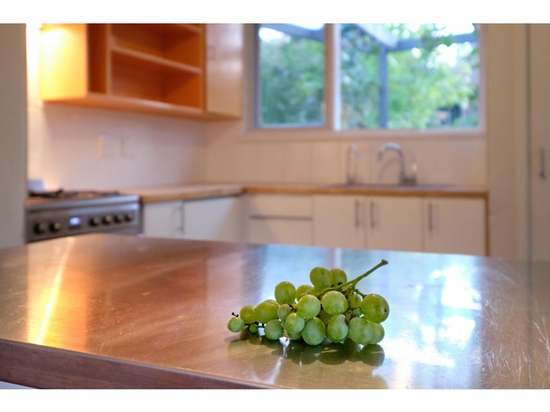 11 Cassinia Street, O’connor ACT 2602