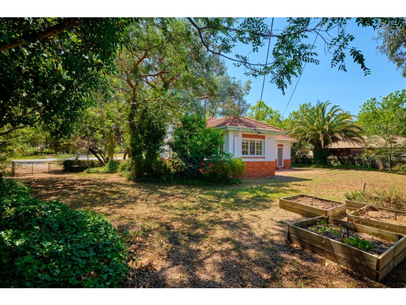 45 Cowper Street, Ainslie ACT 2602