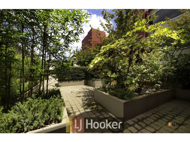 19/12 Challis Street, Dickson ACT 2602