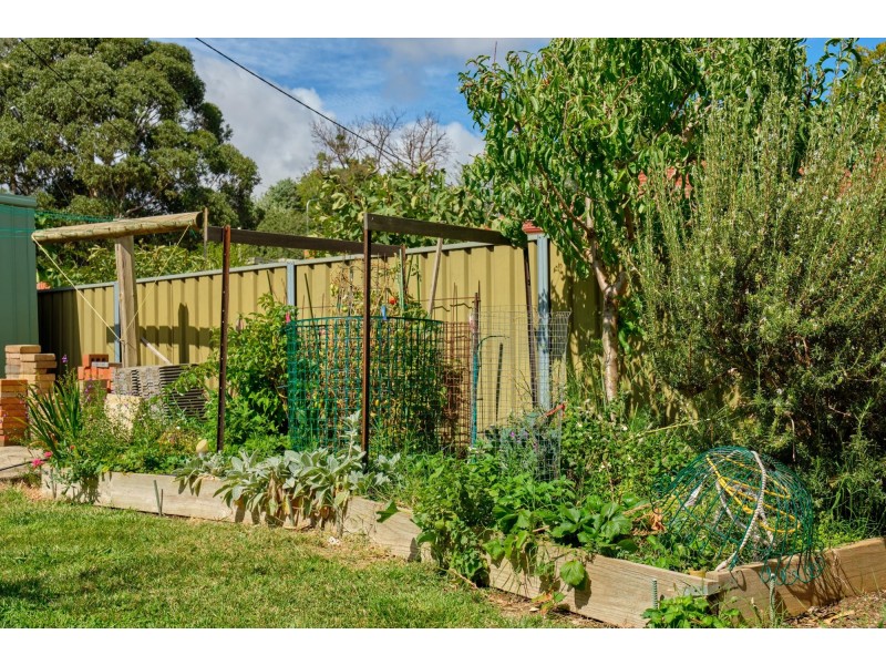 32 McGowan Street, Dickson ACT 2602