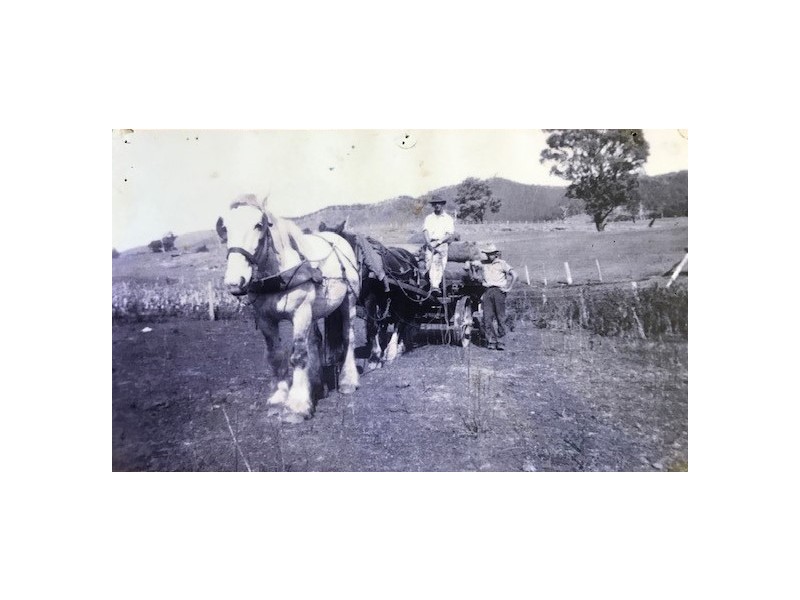 6499 Wee Jasper Road, Wee Jasper NSW 2582