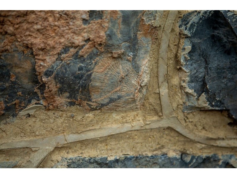 6499 Wee Jasper Road, Wee Jasper NSW 2582