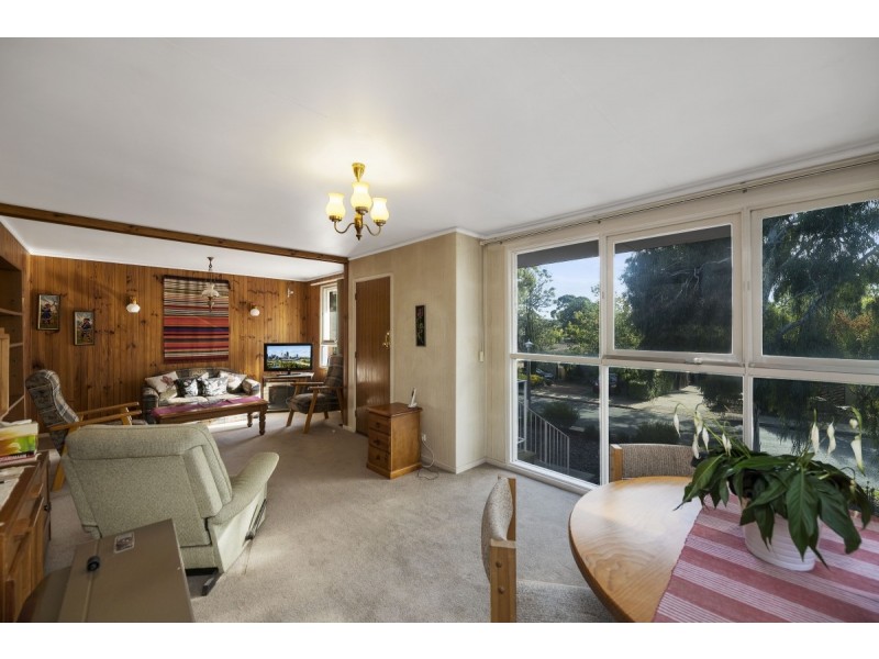 46 Enderby Street, Mawson ACT 2607