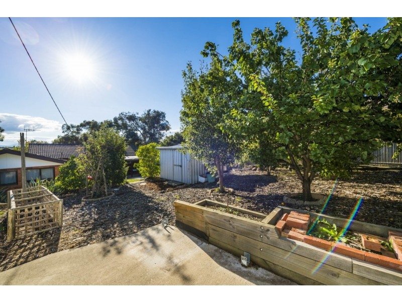 46 Enderby Street, Mawson ACT 2607