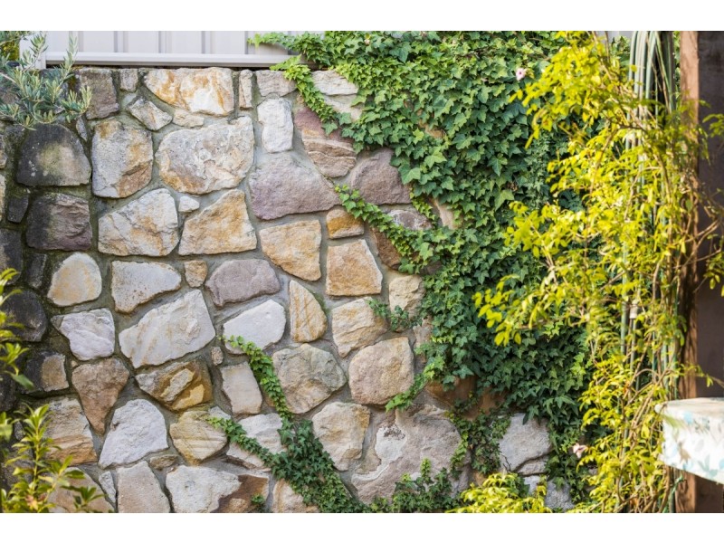 46 Enderby Street, Mawson ACT 2607