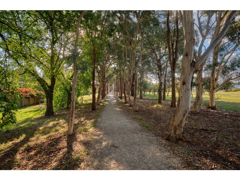 61 Piddington Street, Watson ACT 2602