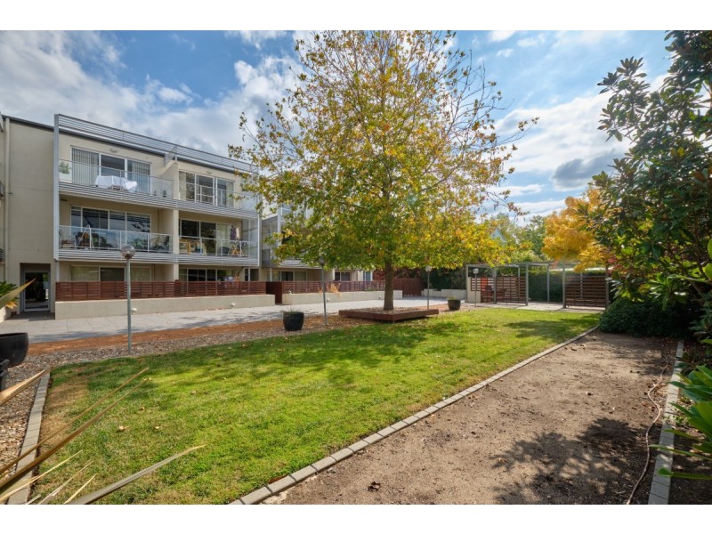 23/17 David Street, O’connor ACT 2602