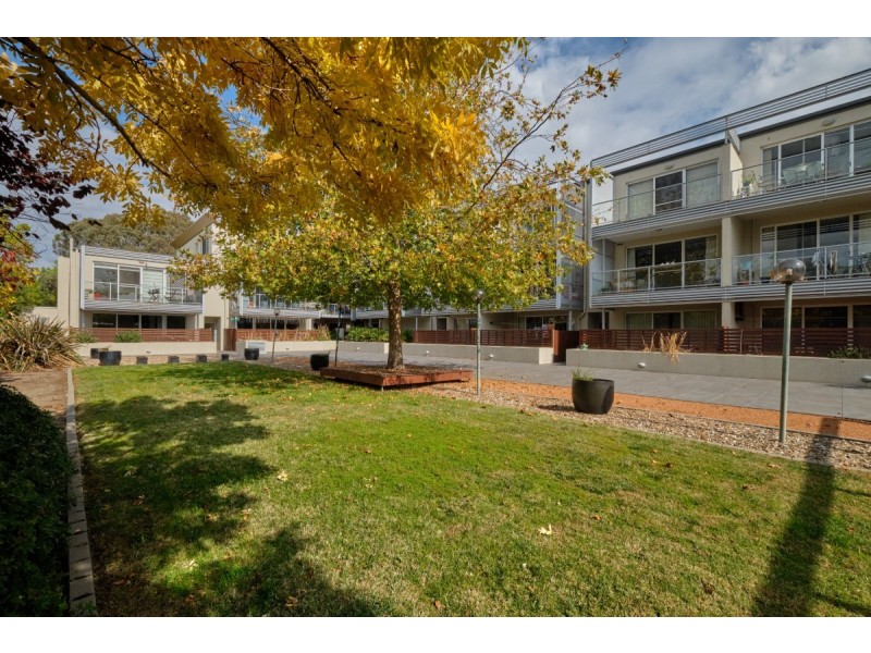 23/17 David Street, O’connor ACT 2602