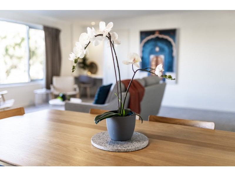 14/62 Lowanna Street, Braddon ACT 2612