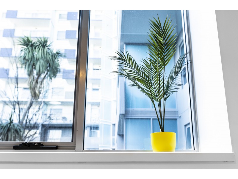 14/62 Lowanna Street, Braddon ACT 2612