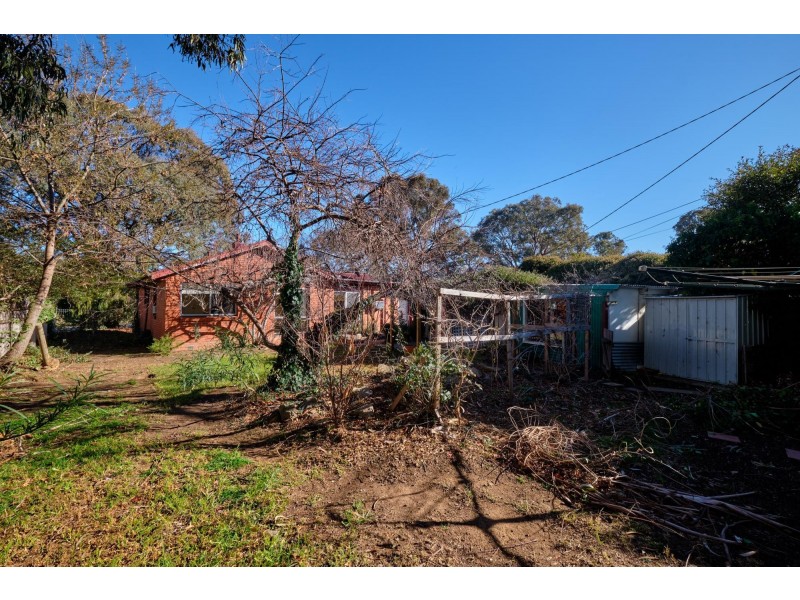 62 Higinbotham Street, Watson ACT 2602