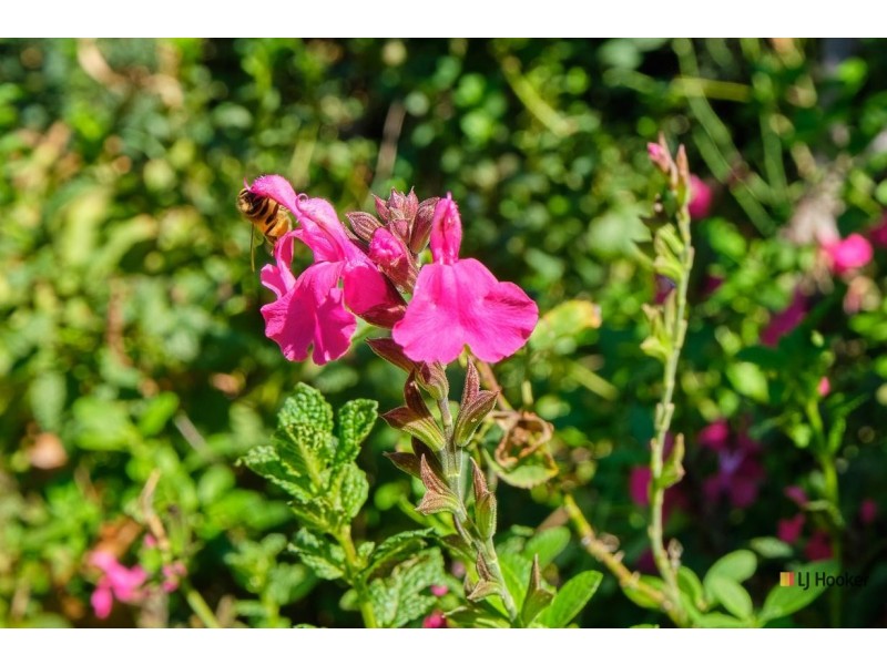 151 Atherton Street, Downer ACT 2602