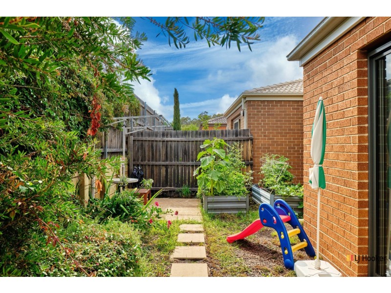 14 Phillipa Weeks Street, Watson ACT 2602