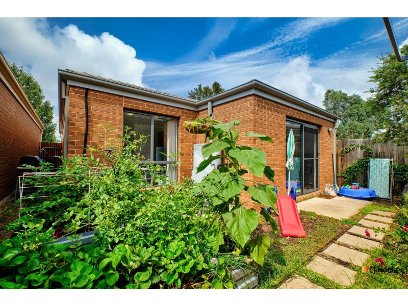 14 Phillipa Weeks Street, Watson ACT 2602